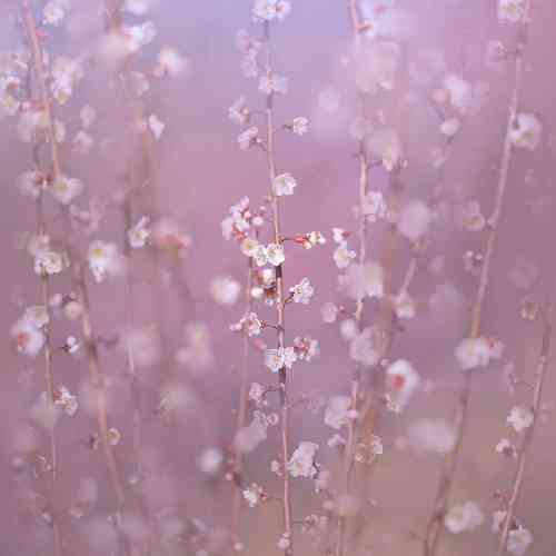 با صدای بچه ای روزگار اگر مردی